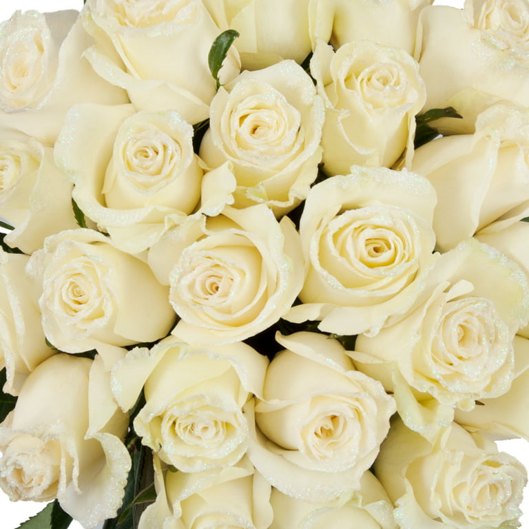 Roses 50 Stems of White Farm Direct Fresh Cut Flowers with Hand Painted  Gold Glitter on the Bloom Tips by Bloomingmore 