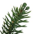 thumbnail image 3 of Christmas Pine Pick Artificial 10PCS Plastic Pine Twigs Xmas Tree Decorations, 3 of 10