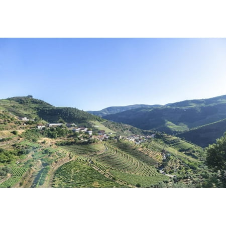 Portugal, Douro River Valley, Terraced Vineyards Print Wall Art By Jim