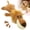 Brown, variant on Dog Plush Toys for Aggressive Chewers, Dog Toys Indestructible Dog Puppy Chew Toys, 2026 Interactive Dog Toys for Heavy Chewers Durable Chew Toys Dog Plush Toy