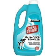 SS STAIN & ODOR REMOVER 1 GAL