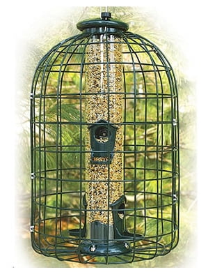 squirrel proof bird feeders squirrel proof bird feeders
