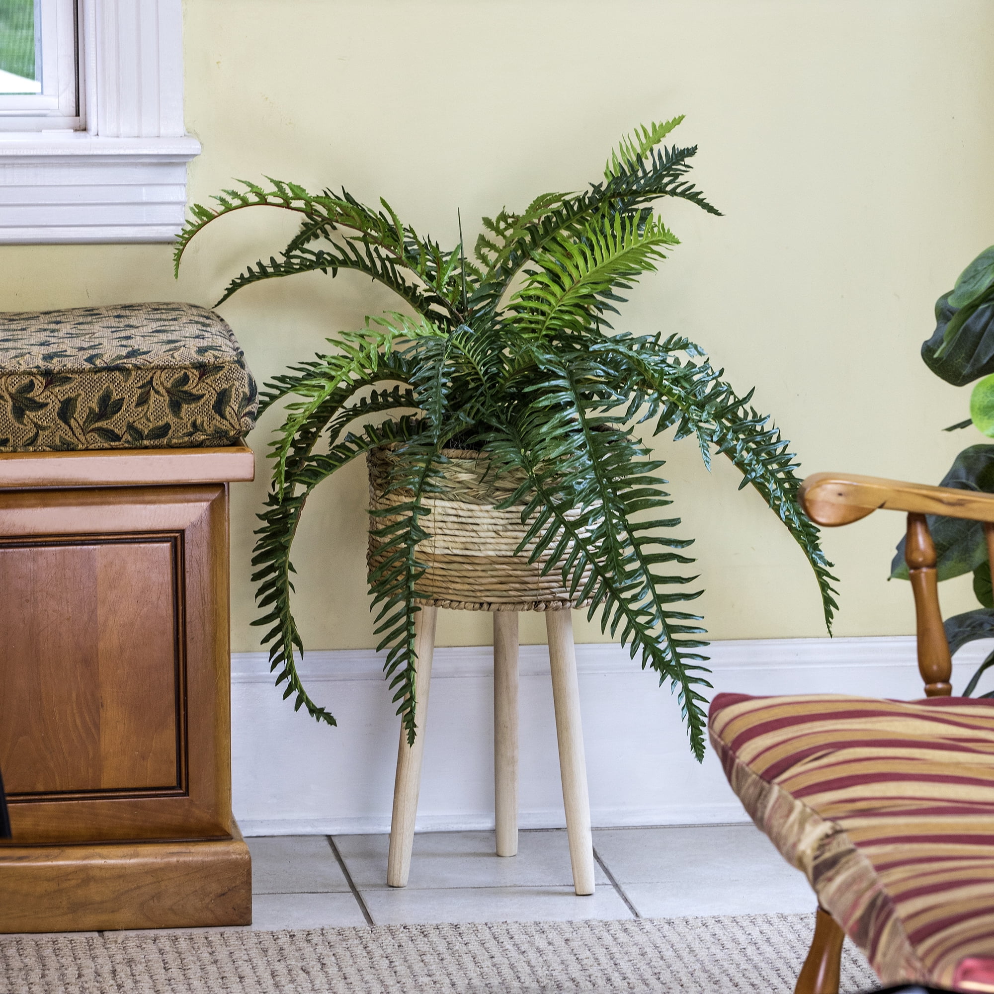 LCG Florals 38" Artificial Trailing River Fern in Tri-Color Tripod Basket Stand