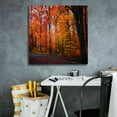 thumbnail image 5 of Epic Graffiti 'Rainbow Fall' by Philippe Sainte-Laudy, Canvas Wall Art, 26"x26", 5 of 8