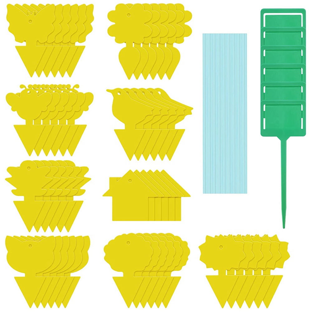 Noblik Sticky Fruit Fly Trap Gnat Killer Disposable Sticky Fly Traps