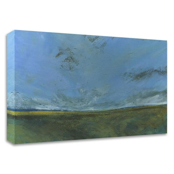 18" x 15" Rough Moor by Paul Bailey - Wall Art Print on Canvas Fabric Blue