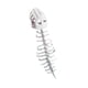 thumbnail image 5 of Dinosaurio Disfraz Esqueleto Accesorio de Diseño Realista de Decoración de Vertebral de Dinosaurio en Terciopelo Adecuado, 5 of 9