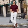 thumbnail image 4 of Big and Tall Men's T-Shirts Mock Turtleneck Short Sleeve Basic Shirts Slim Fit Casual Undershirt Tops Wine XL, 4 of 5