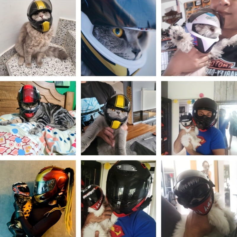 Dog full face motorcycle helmet sale
