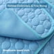 thumbnail image 3 of ChillPaws: Cool Summer Mat for Happy Dogs & Cats! Qsezeny Preferred Store Round, 3 of 14