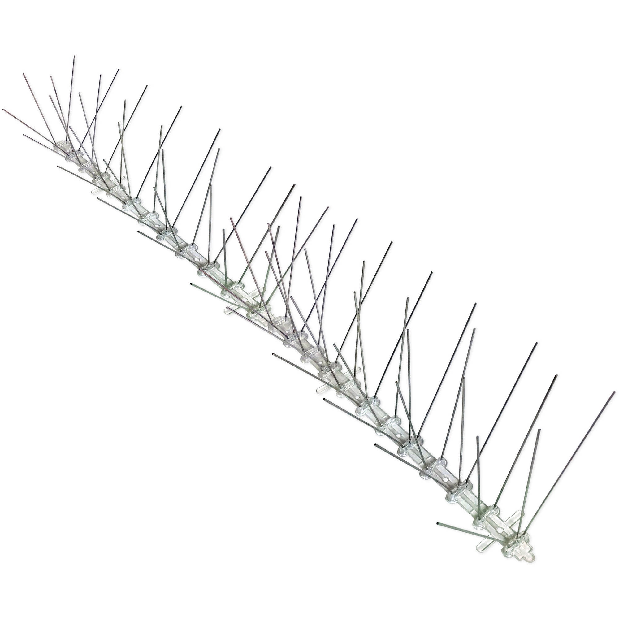BIRD-X INC Stainless Steel Bird Spikes, 50 Feet, 6 Inches Wide, Permanent Bird Deterrent
