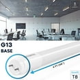 thumbnail image 4 of Luxrite 4FT T8 LED Tube Light, Type A+B, 13W=32W, 3 Colors Option, Plug and Play or Ballast Bypass, 1950 Lumens, F32T8, Frosted Cover, UL Listed 12 Pack, 4 of 7