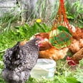 thumbnail image 2 of Alimentador De Verduras Y Pollos, Alimentador Colgante De Frutas Y Aperitivos Con Gancho, Herramienta De Alimentación Para Pollos, Ganso, Pato, Aves De Corral Cateissary PT002186-00, 2 of 6