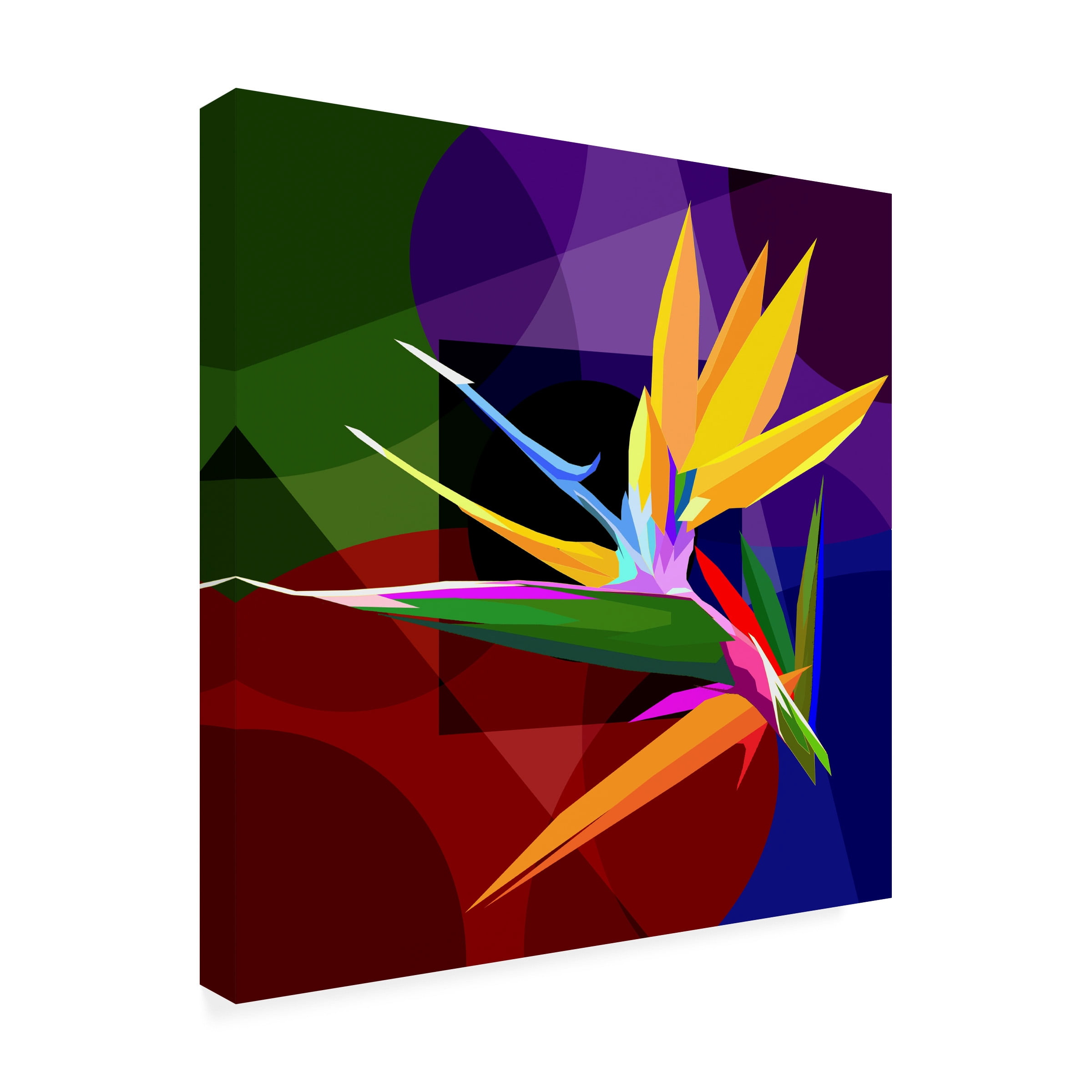 Canvas Wall Art - Surapol Pansanit 'Bird Of Paradise 1' Wall Art for Living Room, Bedroom, or Office DÃ©cor by Trademark Fine Art - 14 x 14 Inches