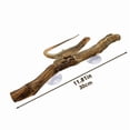 thumbnail image 7 of 2X Reptile Branches for Climbing Bearded Dragon Branch Natural Non-Slip Habitat Decorations Decor, 7 of 7