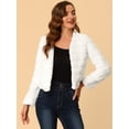 thumbnail image 3 of DARING DIVA Women's Long Sleeve Collarless Shaggy Soft Faux Fur Coat M White, 3 of 6