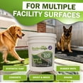 thumbnail image 4 of ProVetLogic V02 Kennel & Turf Care Floor Cleaner, Pet Turf Cleaner, Deodorizer & Drain Maintainer, 5 Gal, 4 of 7