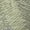 Green, variant on Addison Rugs Dream Shag Premium Machine Washable Transitional Tropical, Leaves, Botanical Gray Rectangle Rug, 3' x 5'