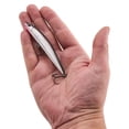 thumbnail image 5 of Berkley Finisher, 3.5 in, Glide Baits, Black Silver (1 Count), 5 of 9
