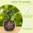 thumbnail image 2 of 4 Pack Self Watering Spikes, Indoor Plant Watering Globes, Bird Shape Automatic Irrigation Spikes,Plant Watering Devices, 2 of 7