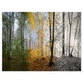 thumbnail image 2 of Forêt le Matin - Impression sur Toile Photographie de Paysage, 2 of 3