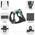 thumbnail image 6 of Honeii Hello Summer Gnome 1 for Dog Harness: a three-buckle adjustable vest featuring an instant control handle and reflective design for easy, medium-sized dogs-Small, 6 of 6