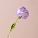 thumbnail image 3 of Clavel de ganchillo tejido a mano flor de clavel exquisito clavel falso de ganchillo acabado estético para decoración del hogar y la Oficina, 3 of 5
