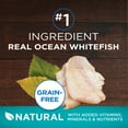 thumbnail image 4 of Purina ONE True Instinct, High ProteinDry Cat Food, Ocean Whitefish, 3.2 lb Bag, 4 of 11