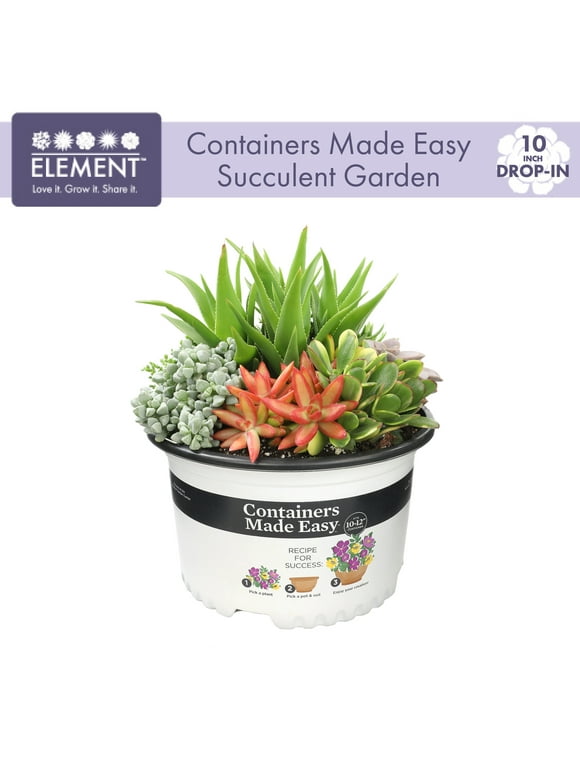 Containers Made Easy in Annuals