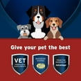 thumbnail image 3 of Pet Protect Synovi G4 Hip & Joint+ Supplement for Dogs 240 Chews, 3 of 8