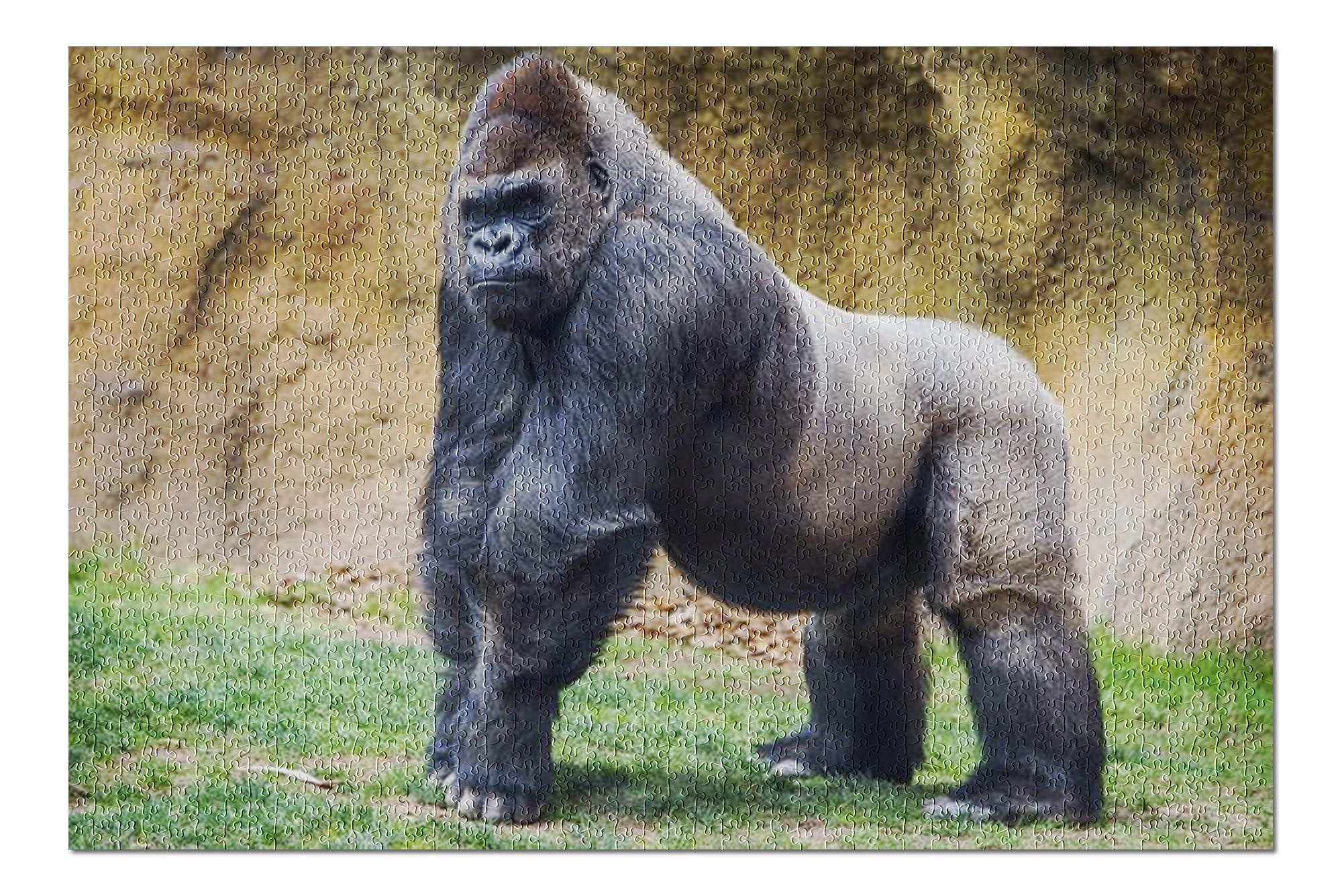 hamleys gorilla