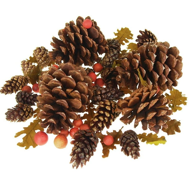 Dried Scented Pine Cones Natural Forms with Red Berries, 40Piece
