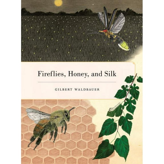 Fireflies, Honey, and Silk (Edition 1) (Paperback)