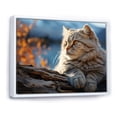thumbnail image 2 of Designart "Scottish Fold Peaceful Cat" Animals Cat Floater Framed Wall Art Living Room, 2 of 5