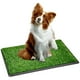 thumbnail image 1 of Tapete Entrenador para Perros con Pasto Sintético, 1 of 7