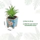 thumbnail image 2 of Simulación de suculentas bonsái, adornos creativos, mesa de comedor de flores, plantas de interior, plantas verdes en macetas, 2 of 5