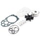 thumbnail image 1 of Water Pump Repair Kit 6CEW007800 Fit for Yamaha 225/250/300 Horsepower Outboard Motors, 1 of 5