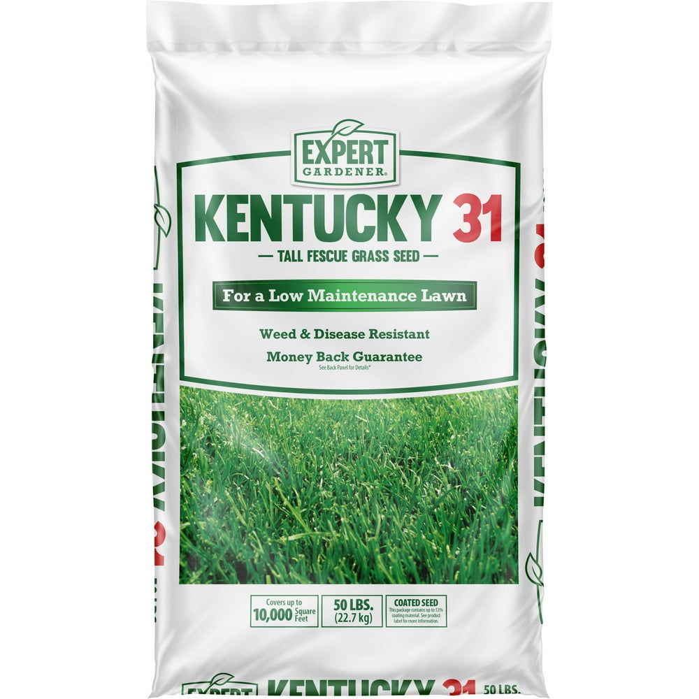 Expert Gardener Kentucky 31 Tall Fescue Grass Seed; 50 Pound Bag