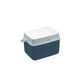 thumbnail image 3 of Combo 2 Hieleras 34Qt 5Qt y 4 Sustitutos Hielo Rubbermaid Azul Rubbermaid 1946251, 3 of 4