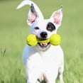 thumbnail image 5 of Juguete para Morder en Forma de Mancuerna Nerf Dog Verde Mediano, 5 of 5