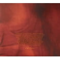 thumbnail image 3 of Secret Obsession Eau de Parfum Vaporisateur par Calvin Klein-3.4 oz, 3 of 3