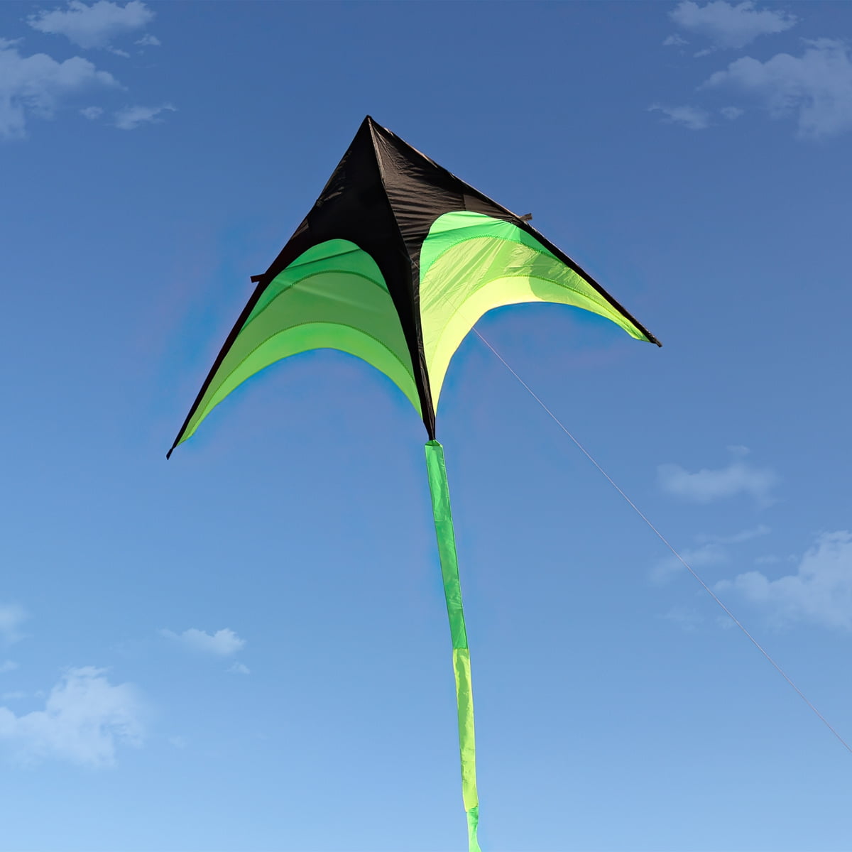 Kepooman Green Huge Delta Kite with Long Tail for Kids & Adults Kepooman Green Huge Delta Kite with Long Tail for Kids & Adults