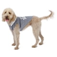 thumbnail image 5 of Vibrant Life Halloween Hoodie for Dogs, Lil' Boo, Gray, M, 5 of 8