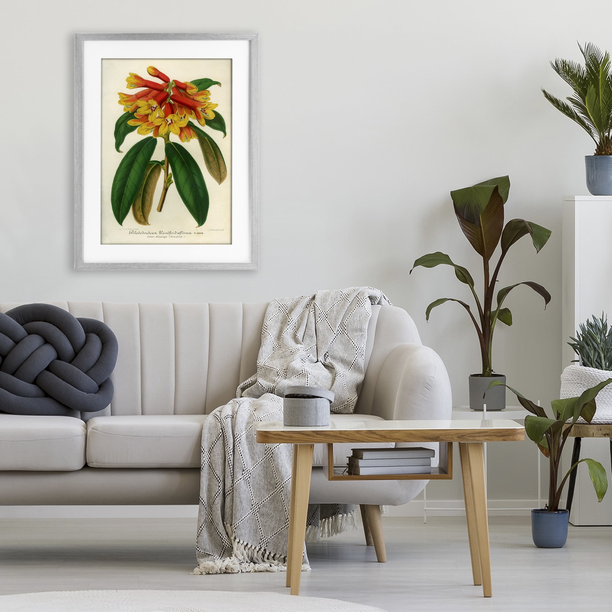 Stupell Industries Orange Yellow Rhododendron Gray Framed Print Under Glass, design by Print Collection