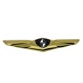 thumbnail image 1 of Aplicable a la calcomanía con insignia BX7bx5 en la parte delantera de los autos Baowo (dorado negro), 1 of 1