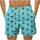 thumbnail image 1 of Pantalones Cortos Casuales de Impresión Hawaiana para Hombres Pantalones Cortos de Natación de Playa, Poliéster de Secado Rápido con Forro de Malla, 1 of 9