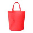 thumbnail image 1 of Bolsa de non woven de 65 gr/m2, termosellada con asas., 1 of 1