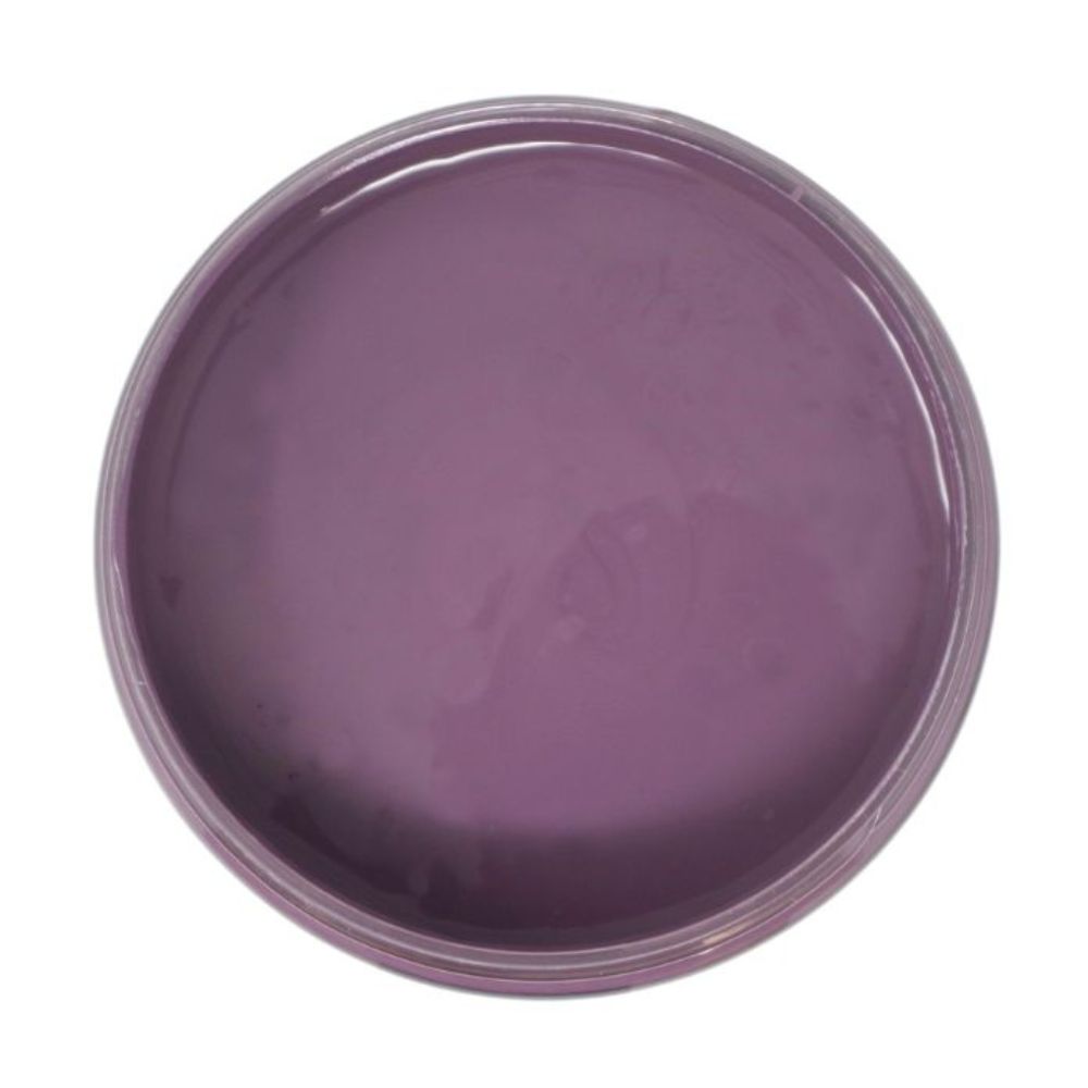 Colorantic | AUTUMN PLUM Chalk Paint Based for Furniture DIY - Multi-Surface All-in-One Craft Paint | DARK PURPLE COLOR Home Decor Painting - 32 oz