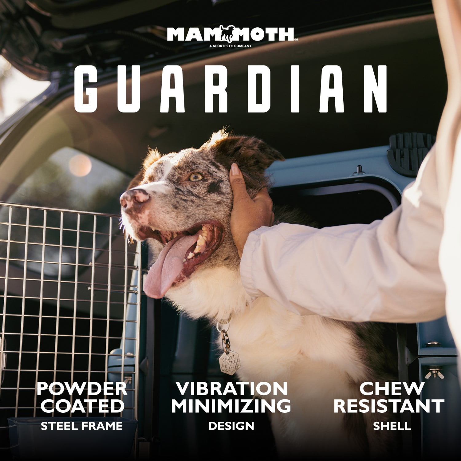 Mammoth Guardian Strong and Durable 36" Plastic Dog Kennel, Blue, Heavy-Duty Travel Crate