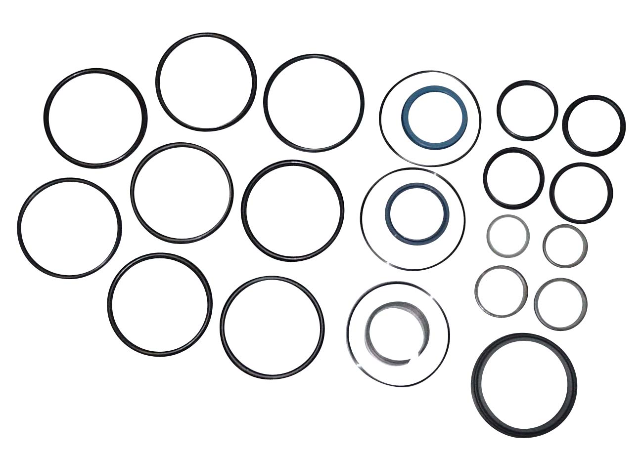 251033F Fits Ford/New Holland Hydraulic Cylinder Seal Kit 1100 555 555A